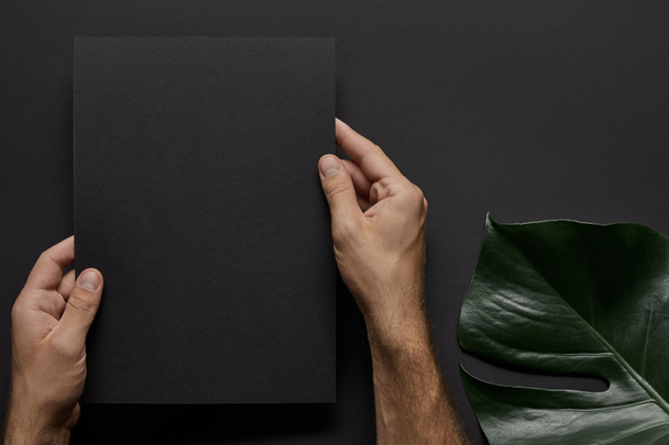 Male hands holding black notebook on black background with green leaf - Photo, Image