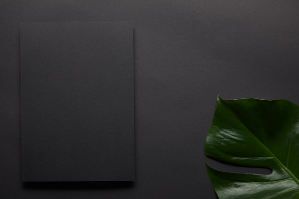 Black notebook on black background with monstera leaf - Photo, Image