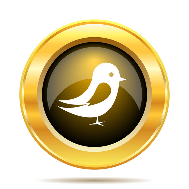 ikona ptaka - Zdjęcie, obraz
