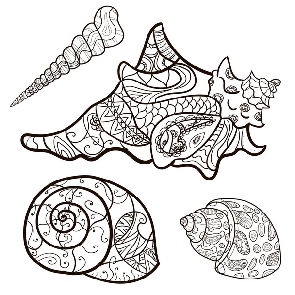seashells, shell  pattern, shell set, coloring book, page. Vector - Vector, imagen