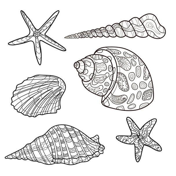 seashells, shell  pattern, shell set, coloring book, page. Vector - Διάνυσμα, εικόνα