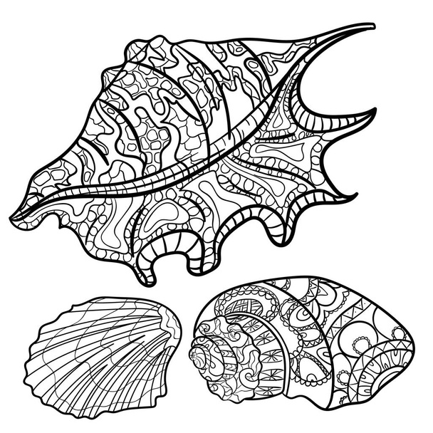 seashells, shell  pattern, shell set, coloring book, page. Vector - Διάνυσμα, εικόνα