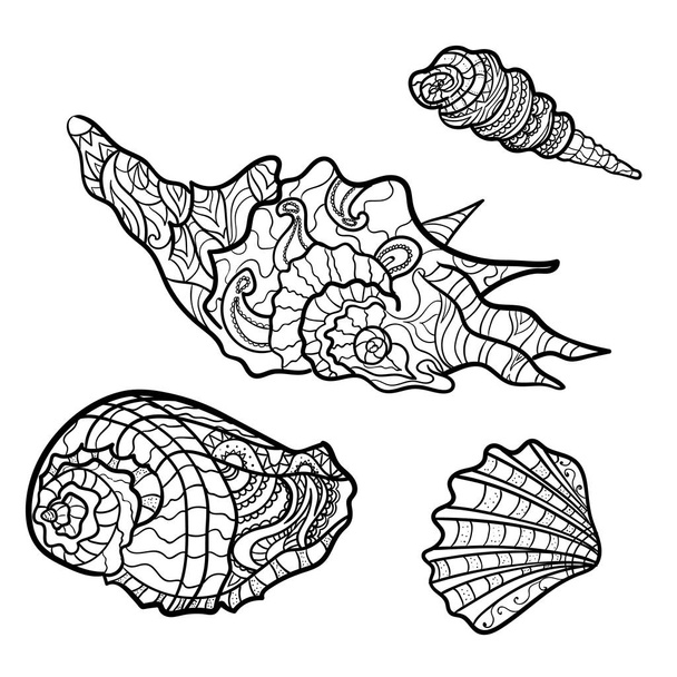seashells, shell  pattern, shell set, coloring book, page. Vector - Вектор, зображення