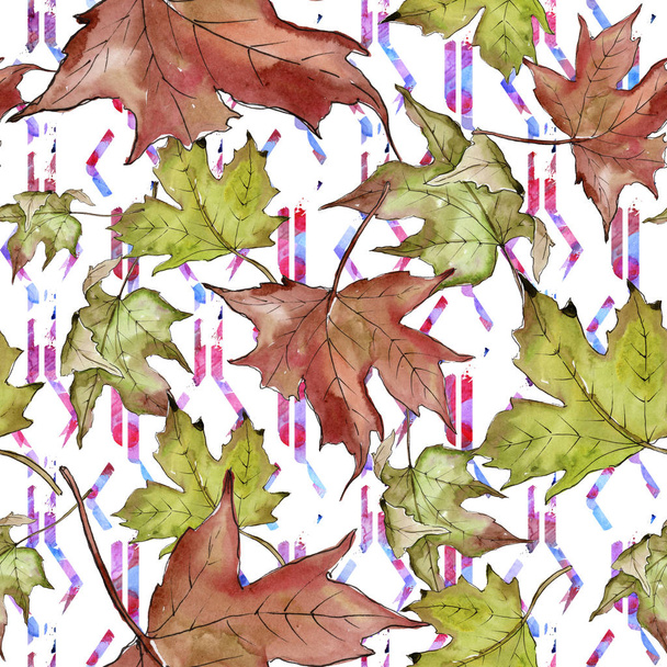 Watercolor green and red maple leaves. Leaf plant botanical garden floral foliage. Seamless background pattern. Fabric wallpaper print texture. Aquarelle leaf for background, texture, wrapper pattern. - 写真・画像