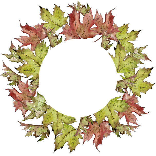 Watercolor green and red maple leaves. Leaf plant botanical garden floral foliage. Frame border ornament square. Aquarelle leaf for background, texture, wrapper pattern, frame or border. - Фото, зображення