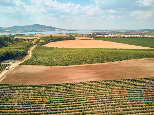 農業分野や川、山、チェコ共和国の空撮 - 写真・画像