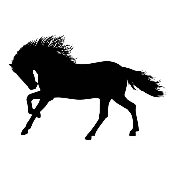 Черный изолированный силуэт лошади - векторная иллюстрация. Beautiful Horse Racing
 - Вектор,изображение
