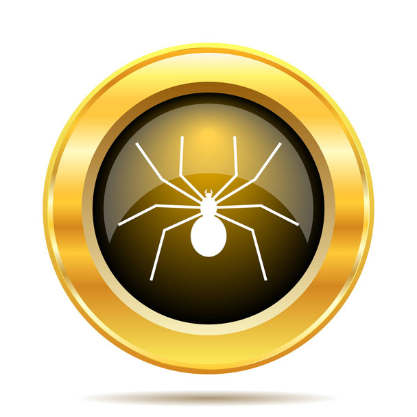pavouk ikona - Fotografie, Obrázek