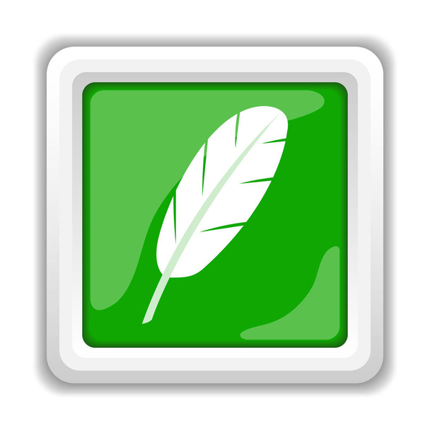 Feather icon. Internet button on white background - Foto, Bild