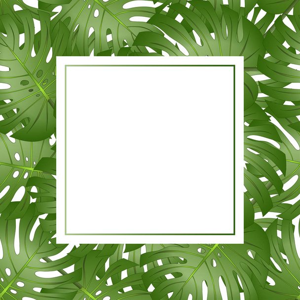 Philodendron Monstera Leaf Banner Card Border. Vector Illustration. - Vector, Image