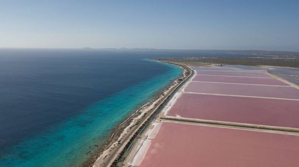 růže Karibiku solné jezero Bonaire ostrov letecké dron pohled shora - Fotografie, Obrázek