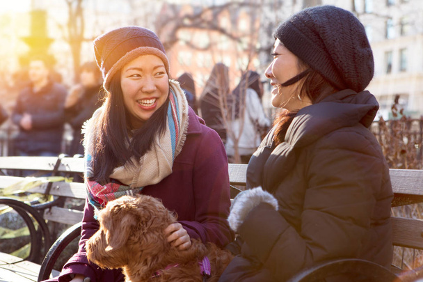 молоді Азіатські дівчата сидячи в парку з їх собаки, насолоджуючись Сонячний зимовий день в Нью-Йорку - Фото, зображення