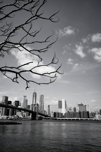 Brooklyn bridge with New York City skyline panoramic spring view in black and white. Lower Manhattan downtown scenery from Brooklyn Bridge Park riverbank in Dumbo district, NYC, USA.  - Φωτογραφία, εικόνα