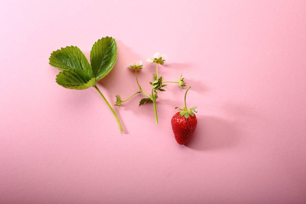 Strawberry set on pink, summer concepts - Foto, afbeelding