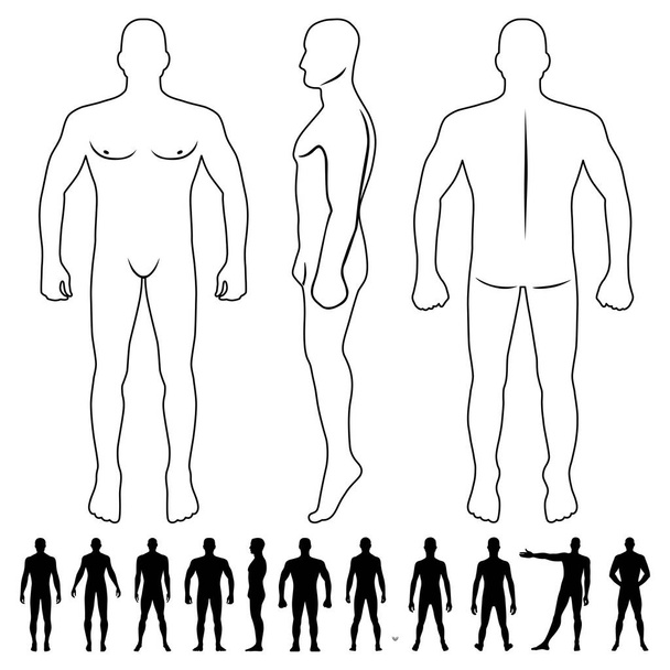 Moda hombre cuerpo de longitud completa calva figura silueta (frente, espalda y vistas laterales), ilustración vectorial aislado sobre fondo blanco
 - Vector, Imagen