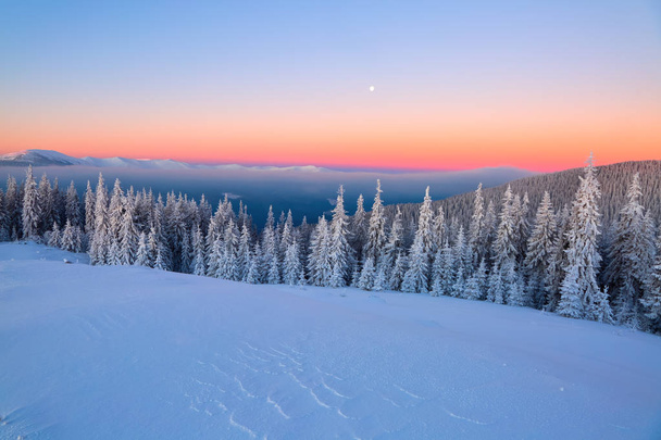 雪で覆われた高い山のある風景します。冷凍のテクスチャを興味深い。オレンジ色の青い空と美しい冬の日の出。観光客のための場所。クリスマスの物語. - 写真・画像