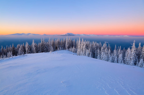 高山の雪、織り目加工の濃霧と冬の寒い日の日の出と幻想的な風景。美しい冬の背景.    - 写真・画像