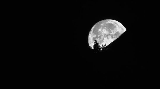 Uma lua cheia desaparece atrás de uma silhueta de montanha e árvore em um céu noturno preto
 - Foto, Imagem