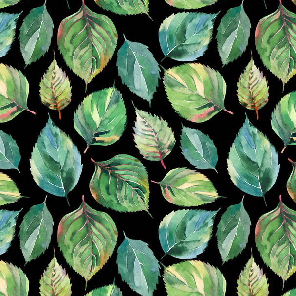 Beautiful lovely cute wonderful graphic bright floral herbal autumn green yellow leaves pattern on dark background watercolor hand illustration. Perfect for textile, wallpapers, wrapping paper - Foto, imagen