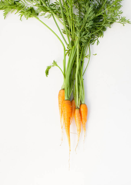 The first carrot harvest. Useful properties of young vegetables from your garden. - Fotografie, Obrázek