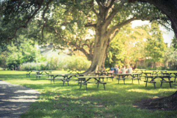 Vintage tone blurred image of picnic tables, green grass and people having lunch outdoor under shade of Southern live oak trees at Louisiana on a sunny day. Nature Picnic Chilling Out Unity Concept - Fotó, kép
