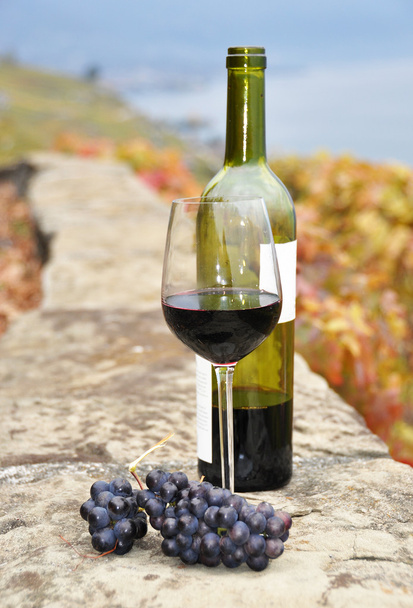 Glass of red wine and a bottle on the terrace of vineyard in Lav - Photo, Image