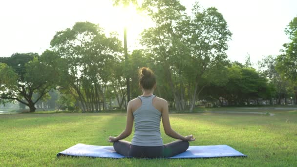 Mladá asijská žena jógu venku zachovejte klid a medituje při cvičení jógy prozkoumat vnitřní mír. Jóga a meditace mají dobrý přínos pro zdraví. Koncept jóga Sport a zdravý životní styl. - Záběry, video