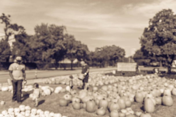 Vintage tone blurred image free to the public pumpkin patch in local community church at Houston, Texas, US. Unidentified parents, kids pickup pumpkin, sales go toward outreach. Halloween background - Photo, Image