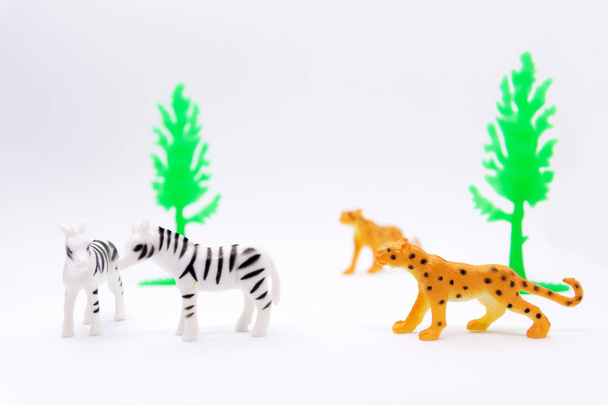 Modello di leopardo e zebra isolato su sfondo bianco, giocattoli animali di plastica
 - Foto, immagini
