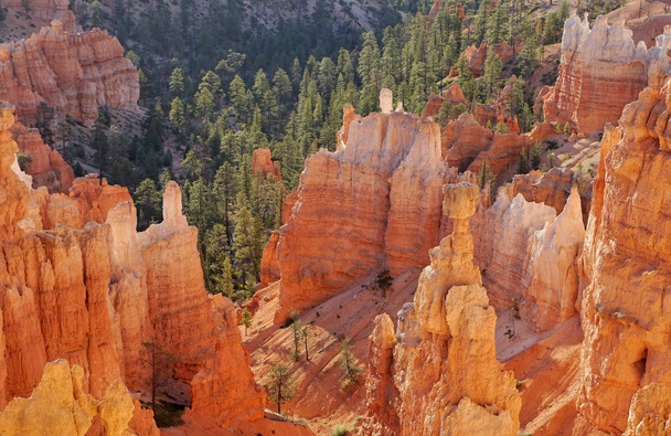 Bryce Canyon země. Oranžové skály v národním parku. - Fotografie, Obrázek