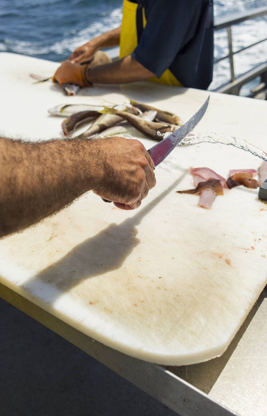 Fisherman on ship deck cutting fish fillets overlooking ocean. - Photo, Image
