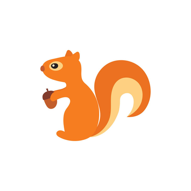 Vector illustration of squirrel with acorn. Vector squirrel. - Vector, Image