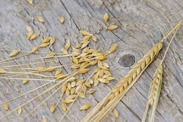 Kulak arpa pirinç eski ahşap zemin üzerine - Fotoğraf, Görsel