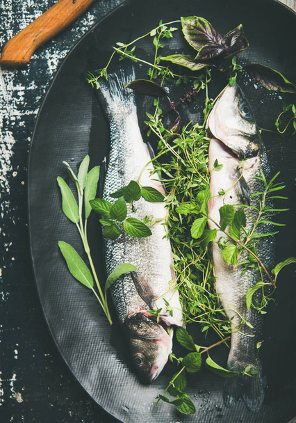 raw uncooked sea bass fish with fresh green herbs on dark plate over rustic wooden painted background - Foto, Imagen
