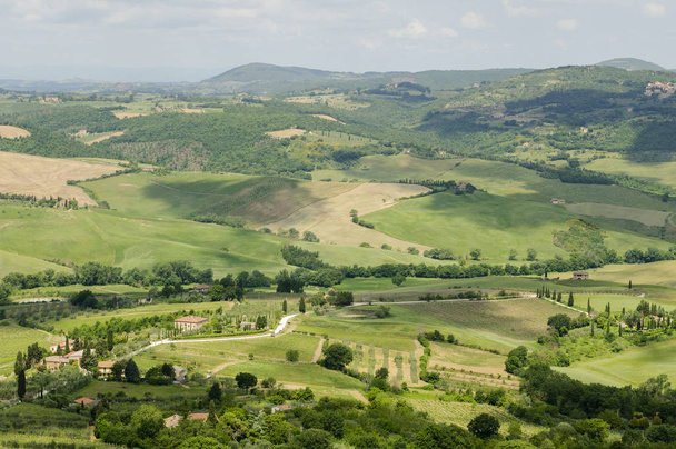 Vista panorâmica da paisagem típica da Toscana em Val D 'Orcia: colinas, prados e campos verdes. Toscana, Itália, Europa
 - Foto, Imagem