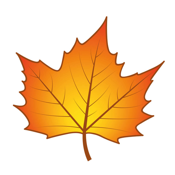 isolated orange autumn leaf - Vector, Image