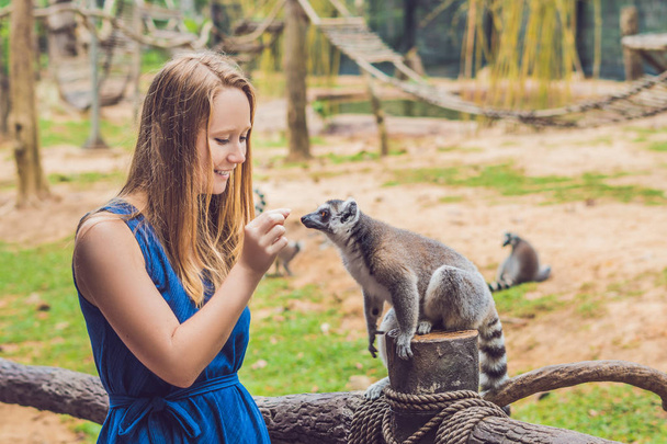 Young woman is fed Ring-tailed lemur - Lemur catta. Beauty in nature. Petting zoo concept. - Photo, Image