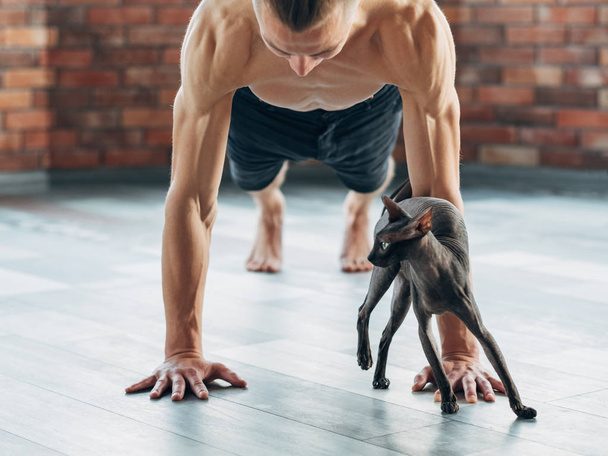 yoga training strong toned muscle fit man cat body - Фото, изображение