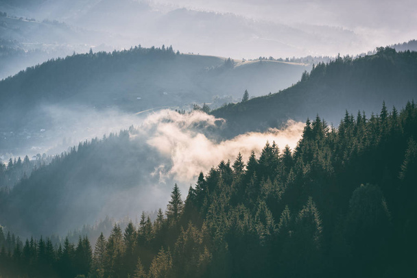 Туманний ранковий пейзаж, лінії гірського хребта та ялиновий ліс, подорожі на фоні природи
 - Фото, зображення