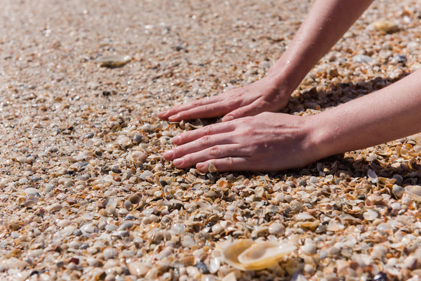 Vrouw zet handen op zee schelpen close-up. Close up van vrouwelijke handen op schelpdieren strand - Foto, afbeelding