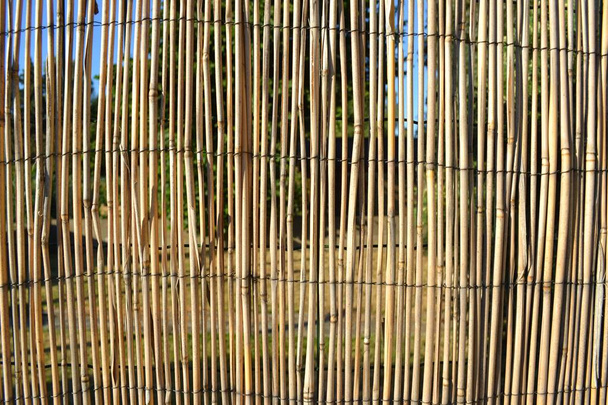 Fotografia in primo piano di un divisore di bambù tra due giardini suburbani. La fotografia è stata scattata in una giornata di sole
. - Foto, immagini