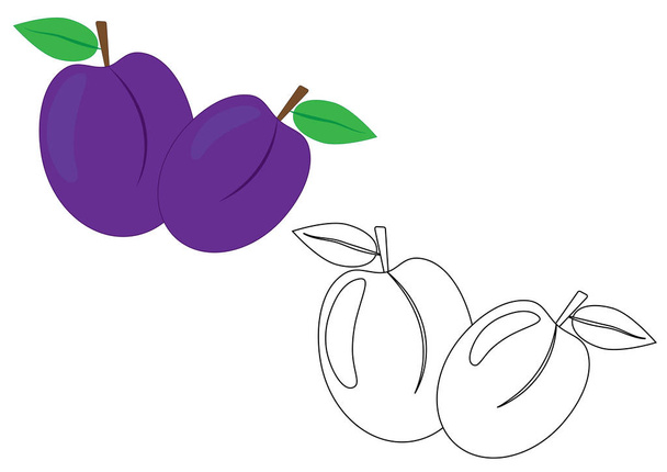 Fruits de prunes, coloriage. Illustration vectorielle
. - Vecteur, image