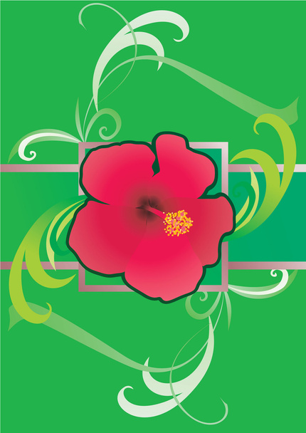 Ilustración de borde verde de hibisco
 - Foto, imagen