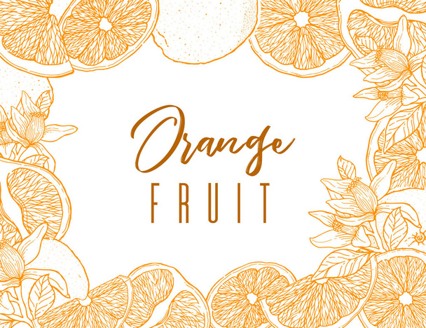 インクは、オレンジ色の果物の描画フレームを手します。図形の輪郭線の色。食品要素のコレクション。ビンテージのスケッチ。カラー ラベル等のパッケージ デザイン ベクトル イラスト - ベクター画像