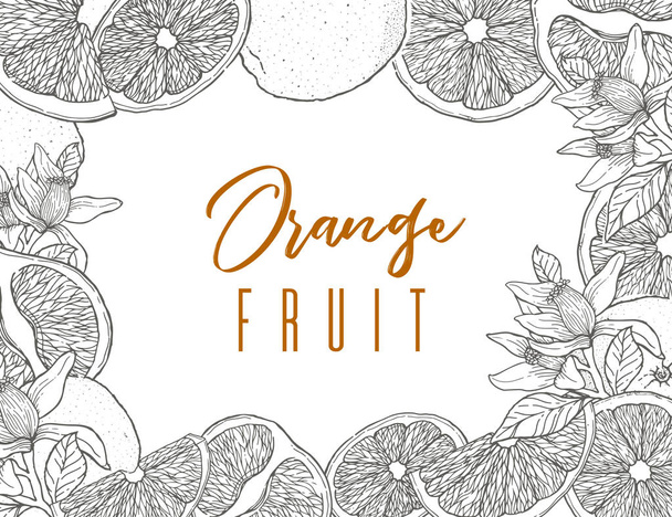 Tinta marco dibujado a mano de fruta naranja, contorno negro. Recogida de alimentos. Esbozo vintage. Esquema negro. Ilustración vectorial
 - Vector, imagen