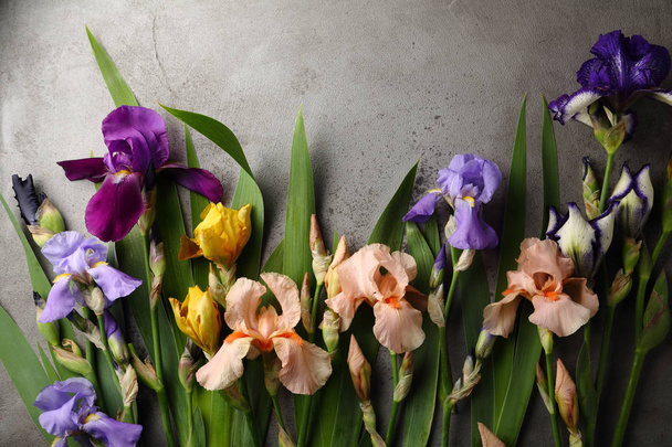 Colorful iris flowers background, flowers flat lay - Foto, Imagem