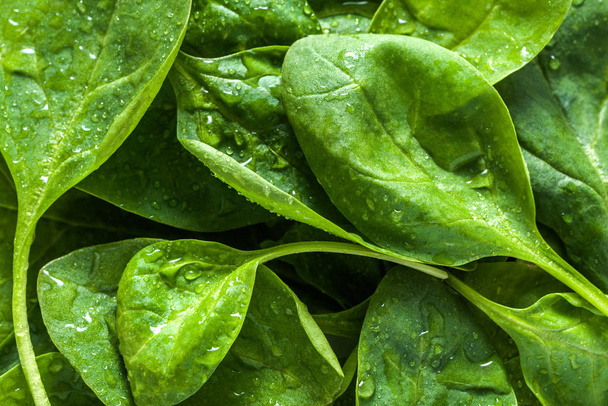 Green leaves of spinach, background, organic food and healthy lifestyle concept - Zdjęcie, obraz