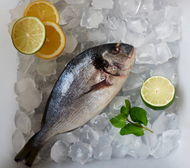 Cuoco congelare orata pesce fresco per un'ulteriore preparazione, Dorada fresco si trova nel vassoio di ghiaccio, pescatori portati al ristorante appena pescato a Oken Dourado
 - Foto, immagini