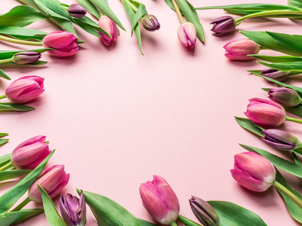 Delicate pink tulips on lightpink background.  Top view. - Photo, image
