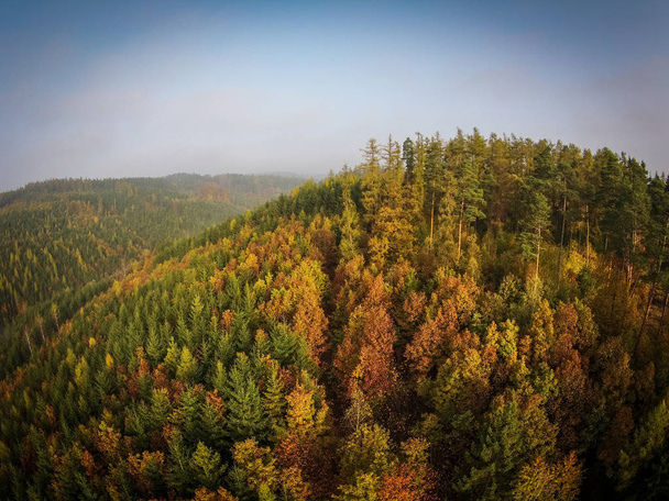 Autumn forest aerial view - Foto, imagen